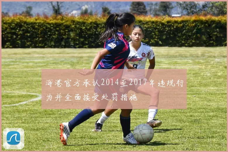 海港官方承认2014至2017年违规行为并全面接受处罚措施
