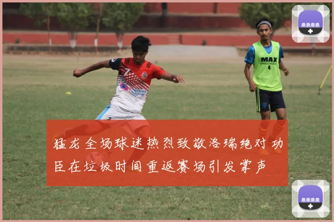 猛龙全场球迷热烈致敬洛瑞绝对功臣在垃圾时间重返赛场引发掌声