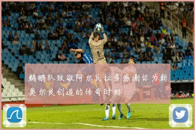 鹈鹕队致敬阿尔瓦拉多感谢你为新奥尔良创造的传奇时刻