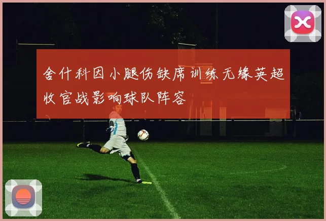 舍什科因小腿伤缺席训练无缘英超收官战影响球队阵容
